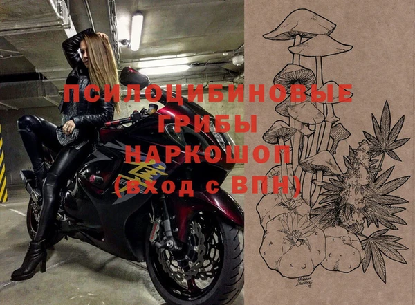 ПСИЛОЦИБИНОВЫЕ ГРИБЫ Балахна