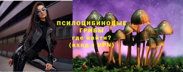 ПСИЛОЦИБИНОВЫЕ ГРИБЫ Балахна