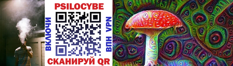 Купить где  Духовщина  Галлюциногенные грибы Psilocybine cubensis 